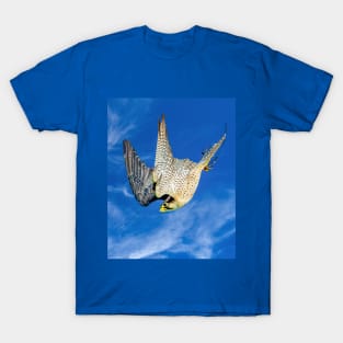 Peregrine Falcon T-Shirt